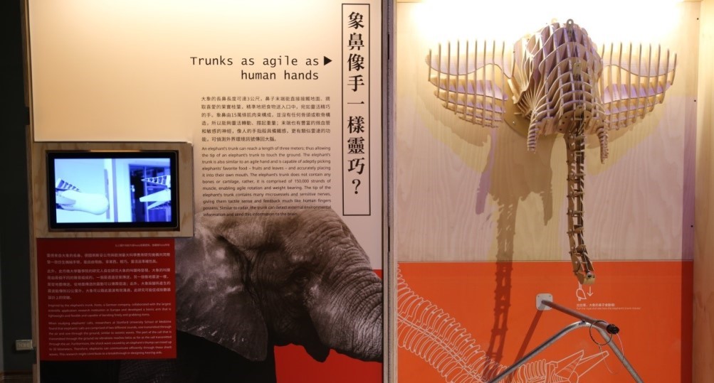 展覽介紹-向大象和老鼠學靈巧Learning How to be Agile from Elephants and Mice