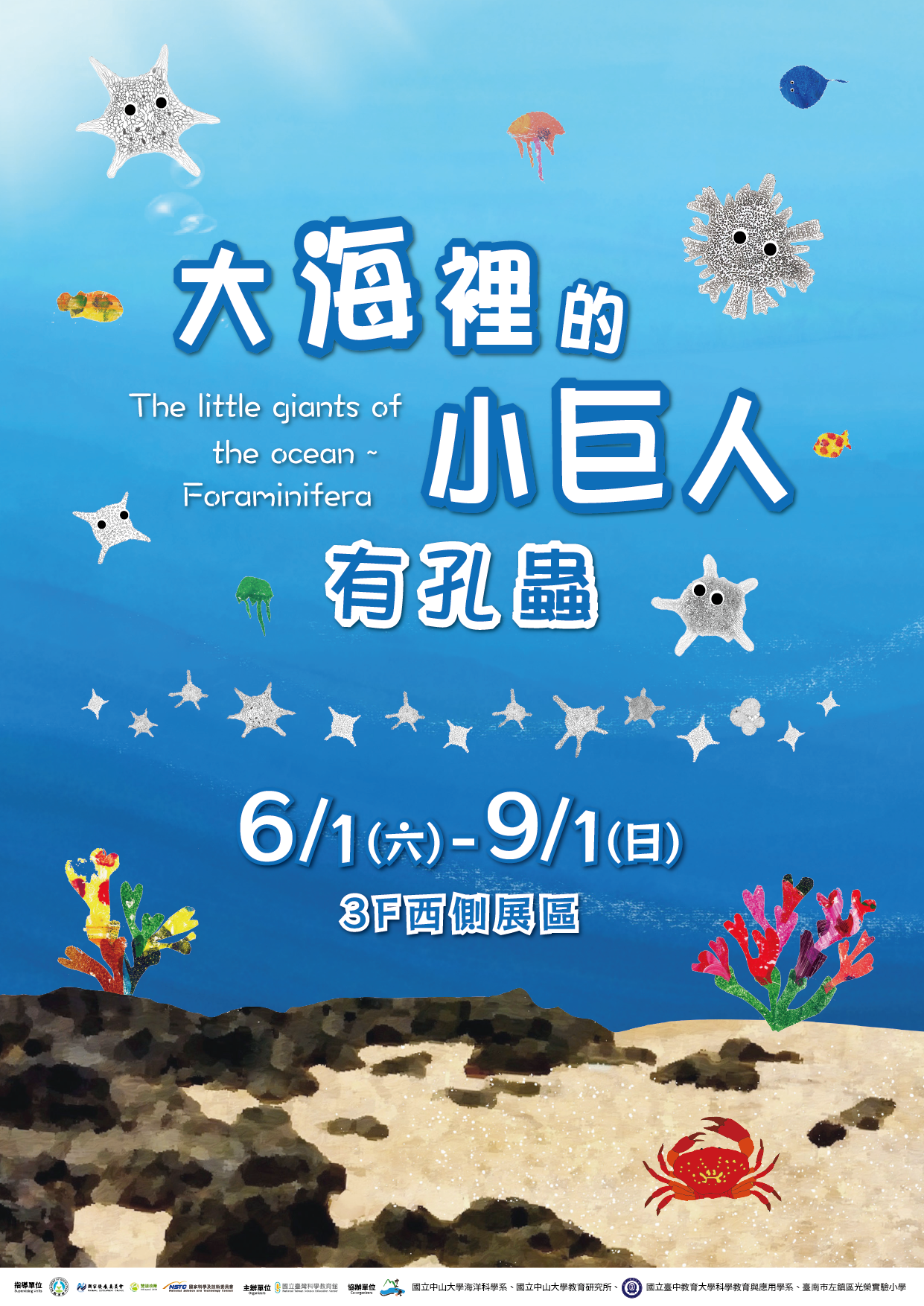 大海裡的小巨人~有孔蟲主視覺