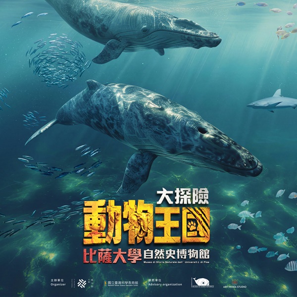 動物王國大探險