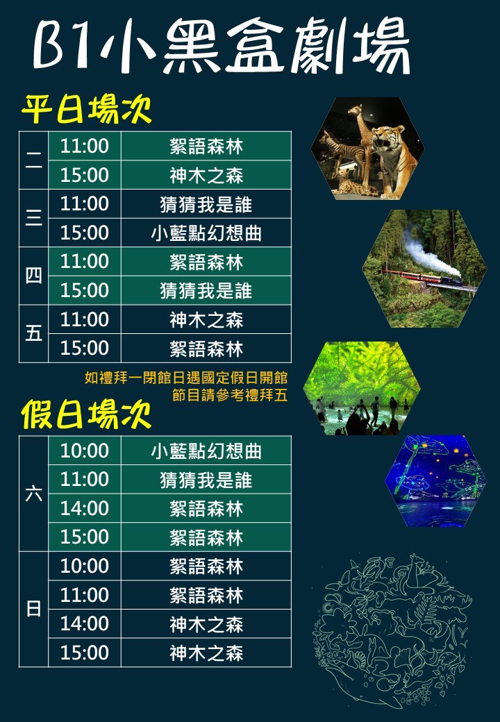 B1小黑盒影片列表