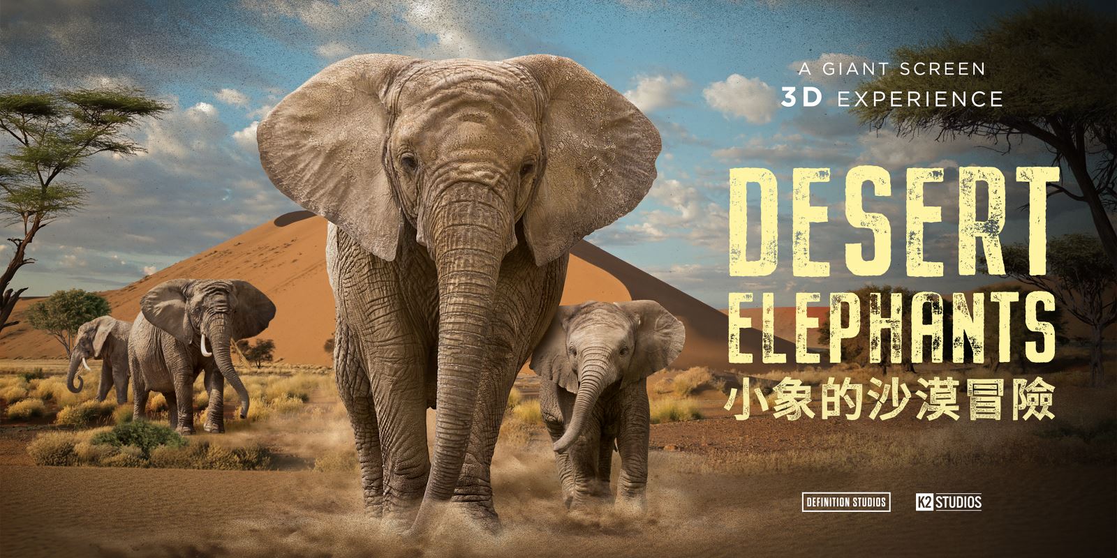 小象的沙漠冒險3D電影主視覺圖