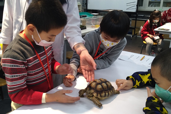 【跨領域探究與實作】奇珍異獸