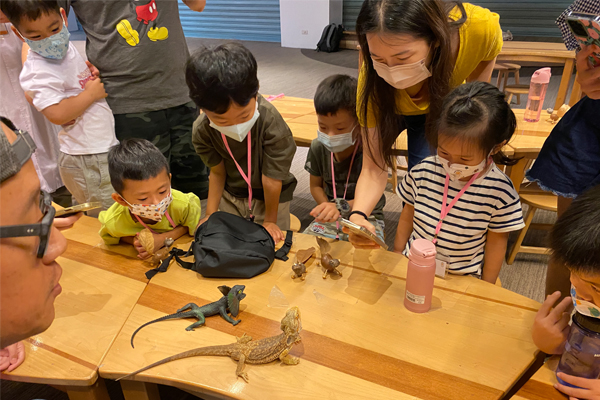 兩棲爬蟲感受營(幼兒班)