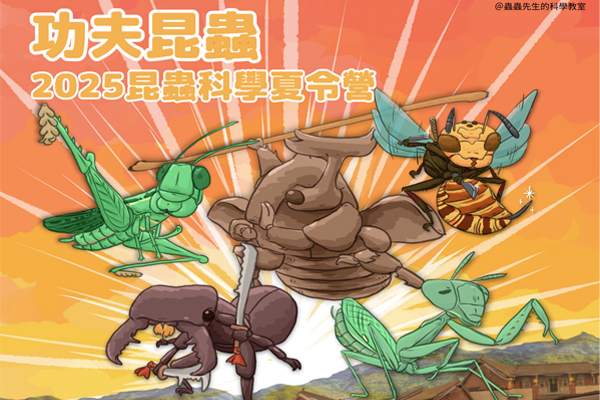 功夫昆蟲