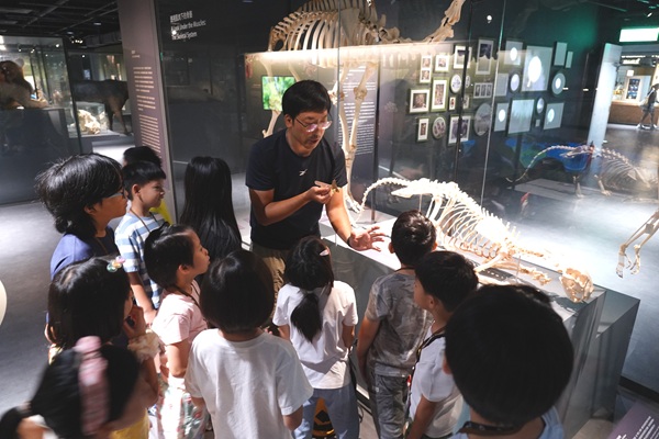 博物學家的動物寶盒-骨骼與生物