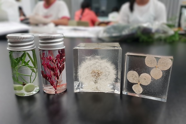 【植物標本製作體驗】