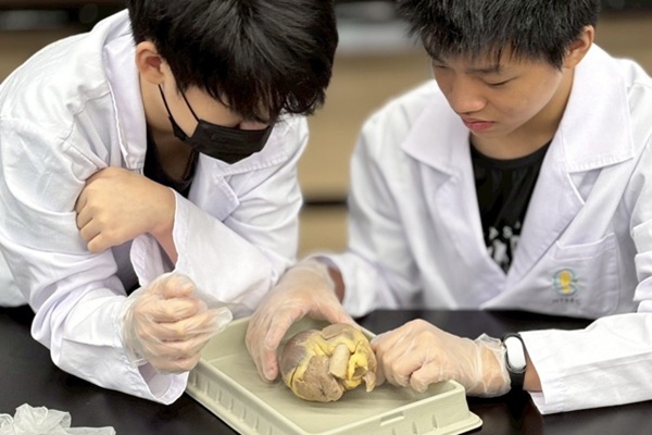 看穿心機解心結：心臟解剖工作坊