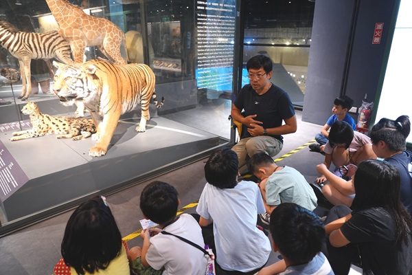 科科上身！動物園找！課程示意圖