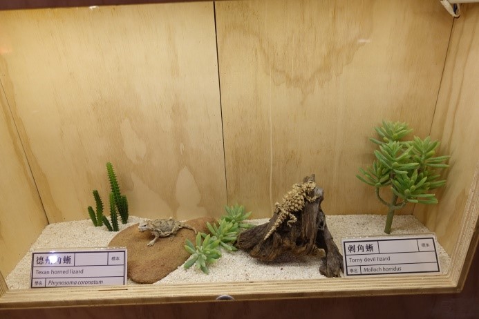 仿生展006 仿生展006