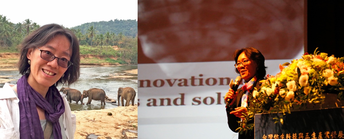 紀凱容副教授的照片