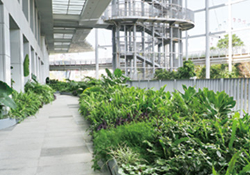 戶外園區植物介紹