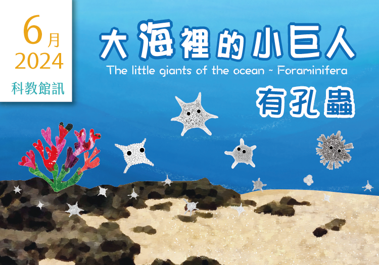 雙語繪本特展：大海裡的小巨人~有孔蟲 The little giants of the ocean~ Foraminifera