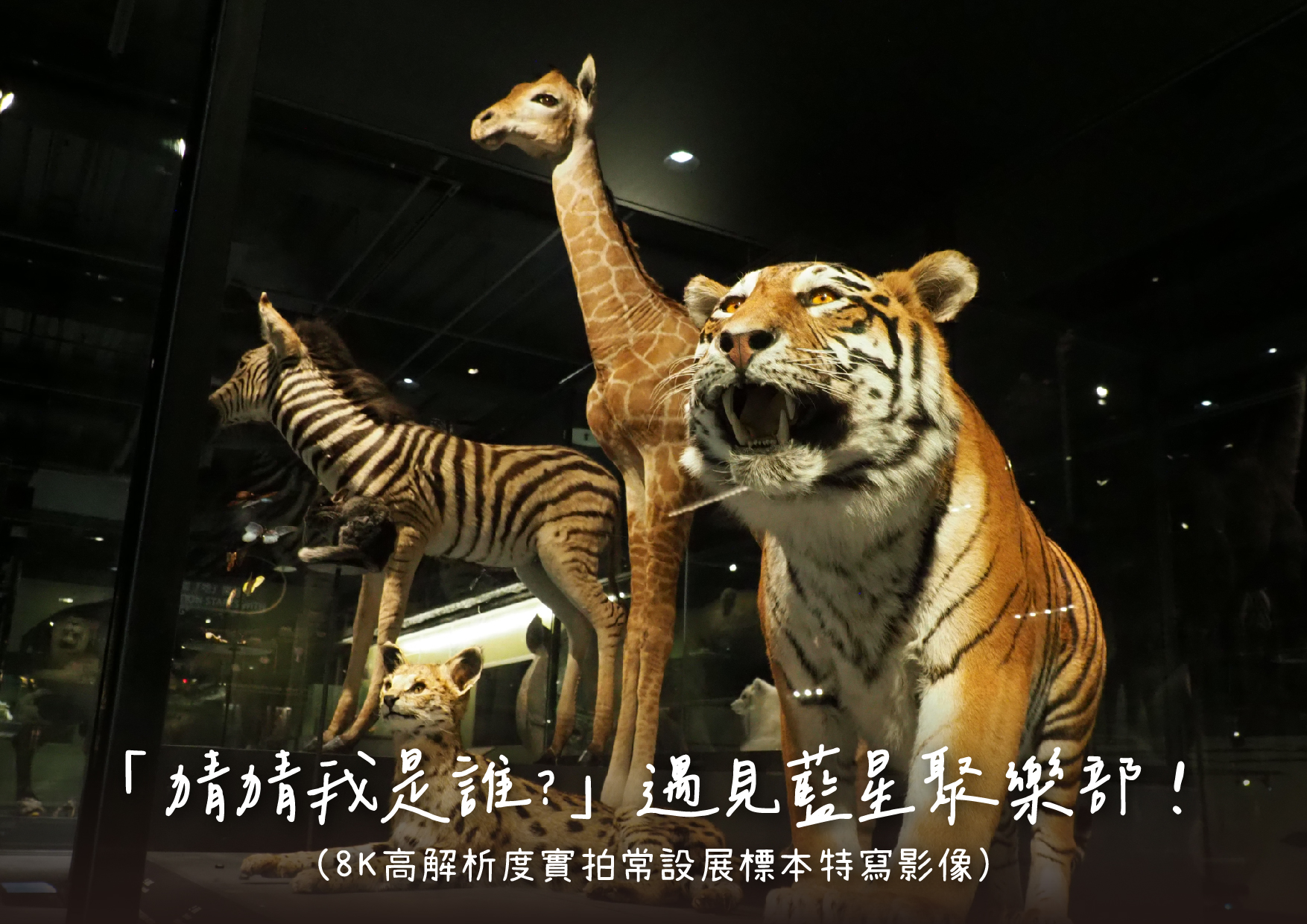《猜猜我是誰》