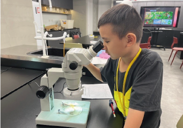 本月活動及營隊